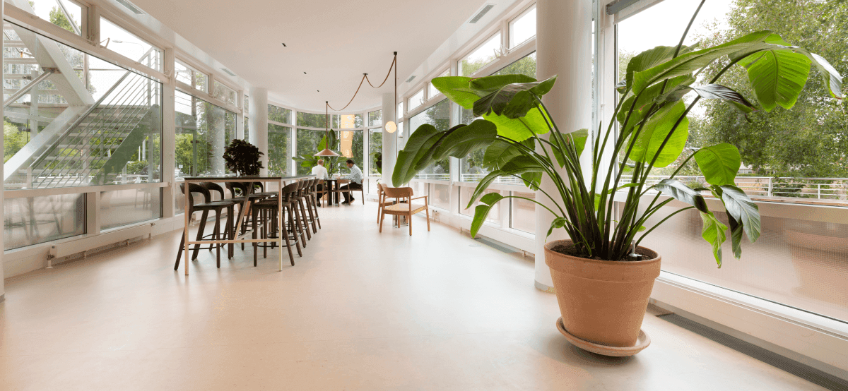 Bright canteen large windows