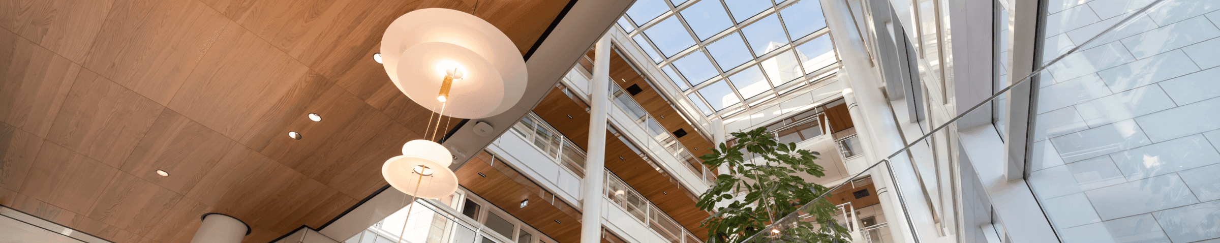 Glass atrium with large plant and blue chairs hvk stevens