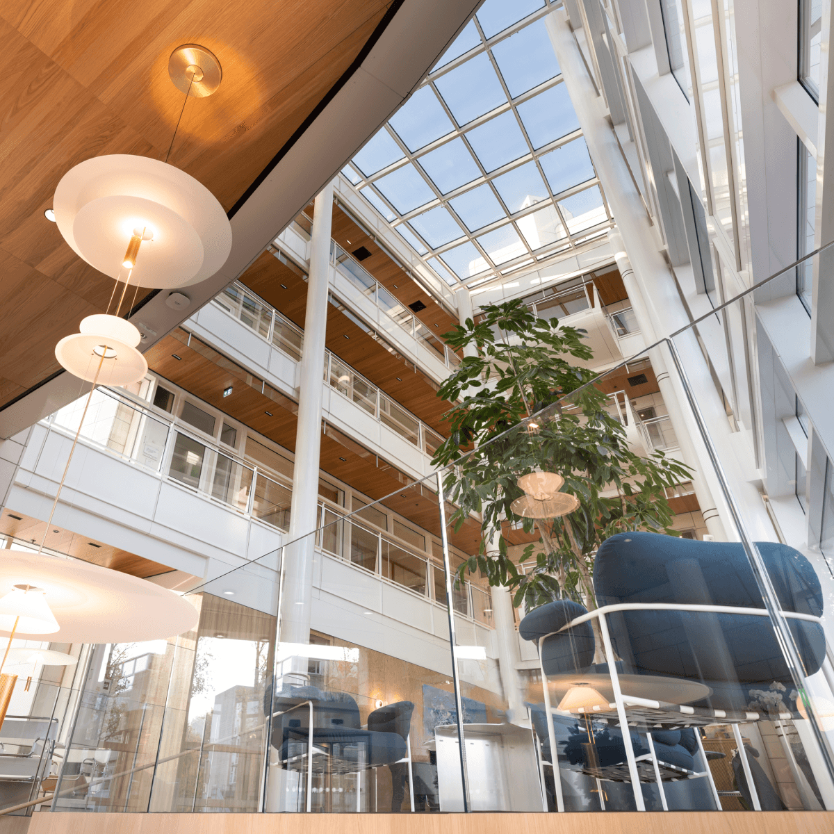 glass atrium with large plant and blue chairs hvk stevens