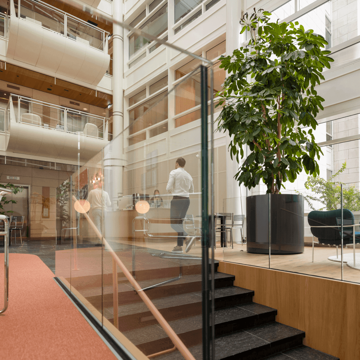 Glass staircase with large plant and people in office space