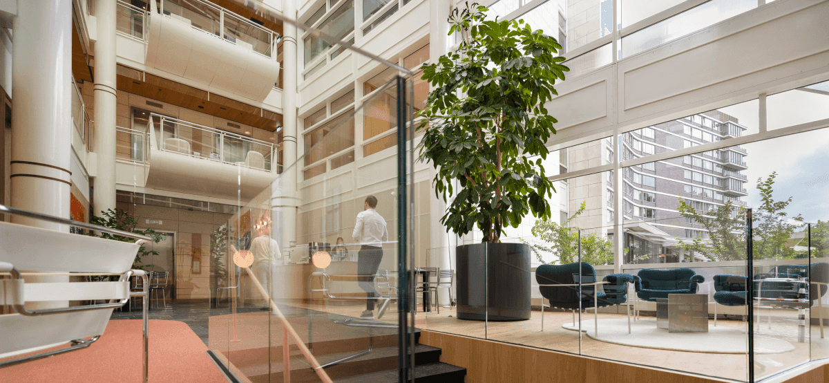 Glazen trap met grote plant en mensen in kantoorruimte