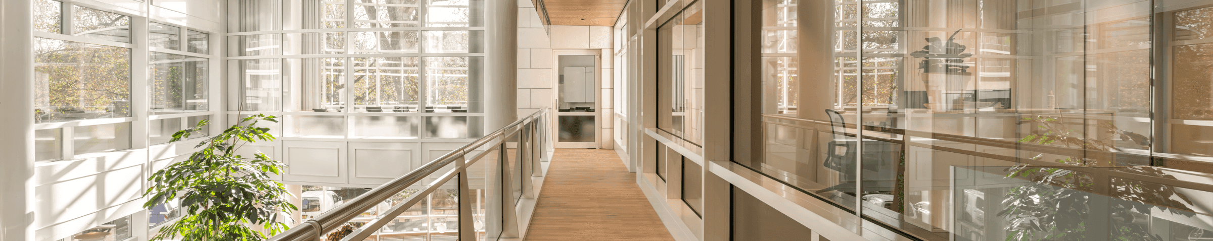 Light wooden corridor with glass walls and view